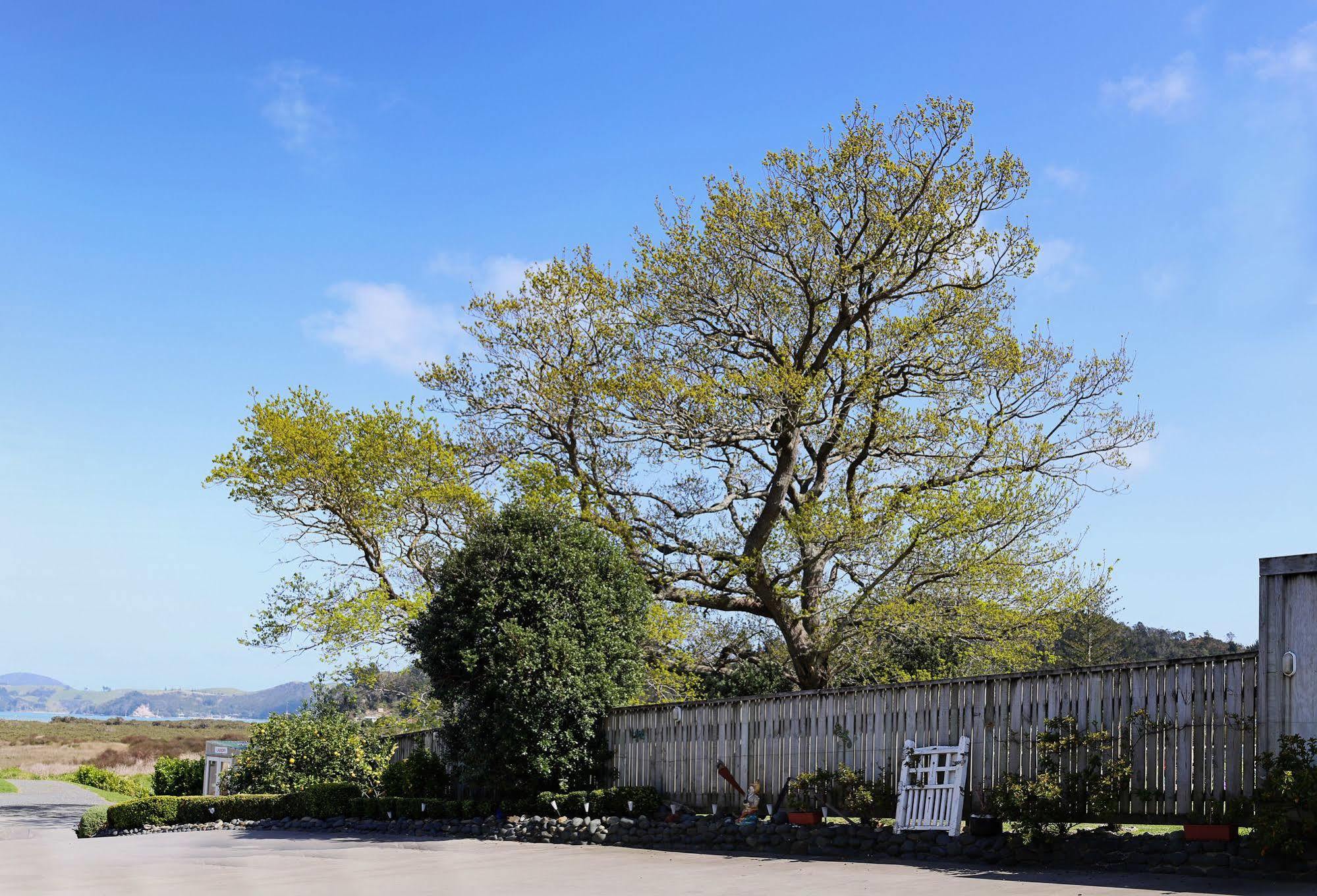 Abbey Court Motel Coromandel מראה חיצוני תמונה